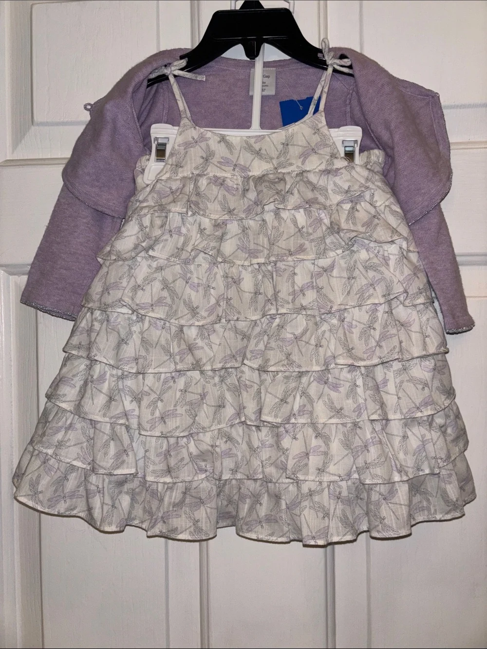GAP Dragonfly Ruffle Dress Set